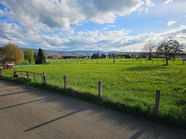 Grundstück kaufen in Alle, Jura