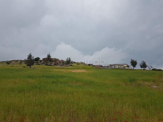Terrain vente à Laghoualem