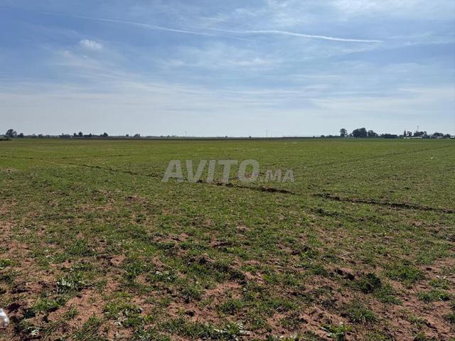 Propriété vente à El Ma, Gharb-Chrarda-Beni Hssen