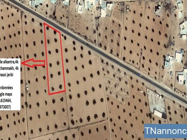 Terrain location