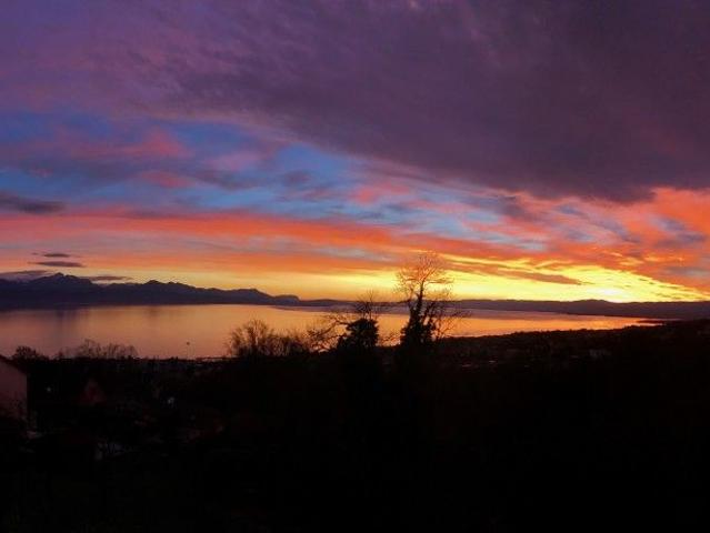 Haus mieten in Belmont-sur-Lausanne, Waadt