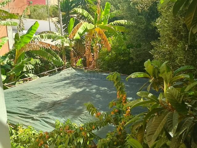 Villa vente à Tamri, Oued ed Dahab-Lagouira
