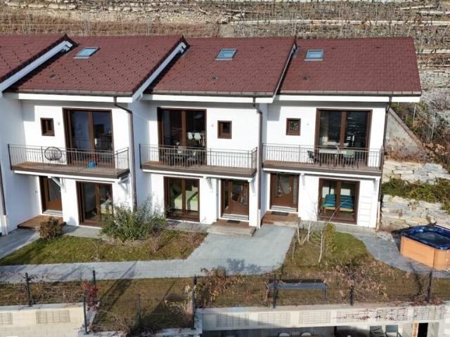 Einfamilienhaus kaufen in Saillon, Wallis