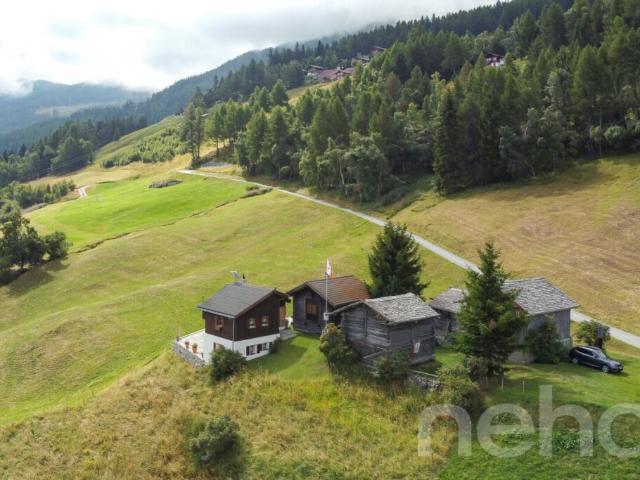 Haus kaufen in Unterbäch, Wallis