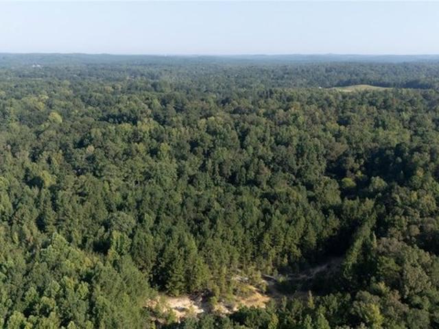 Land for sale in Centreville, Alabama
