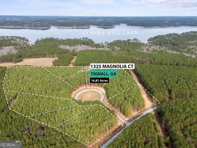 Land for sale in Tignall, Georgia