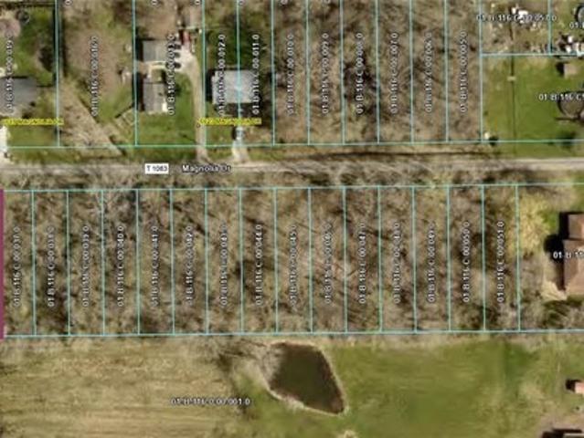 Land for sale in Madison, Lake County