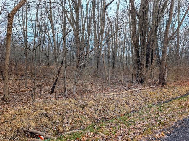 Land for sale in Madison, Ohio