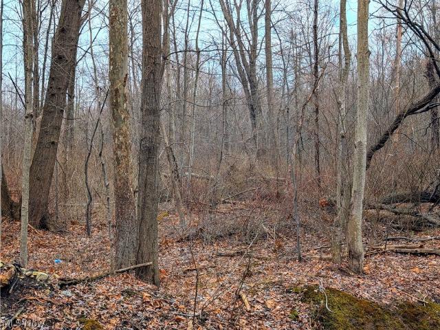 Land for sale in Madison, Ohio