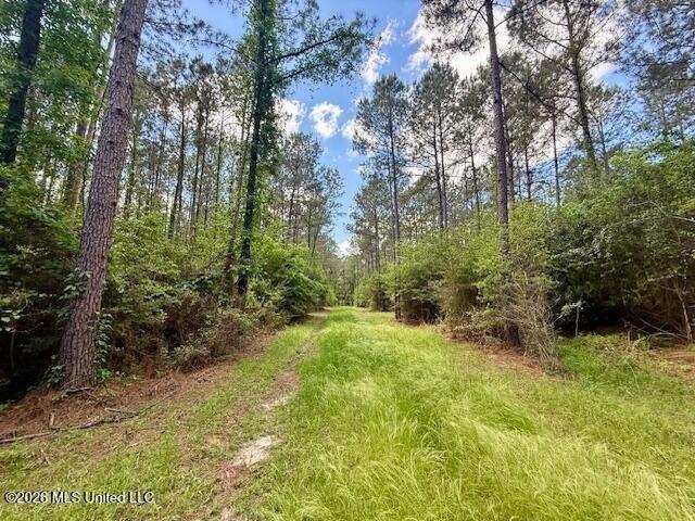 Land for sale in Mccomb, Mississippi