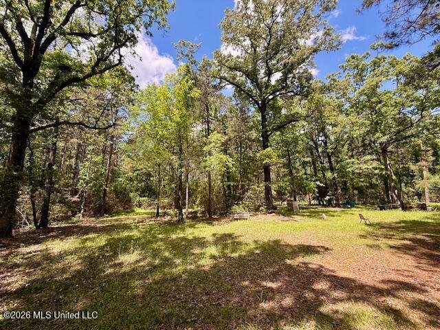Land for sale in Mccomb, Mississippi