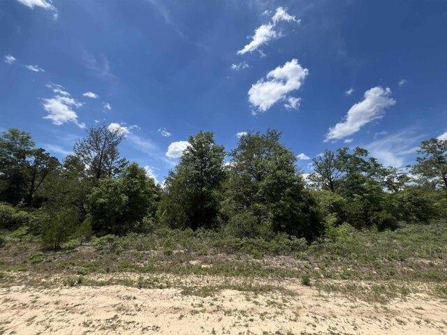 Land for sale in Marianna