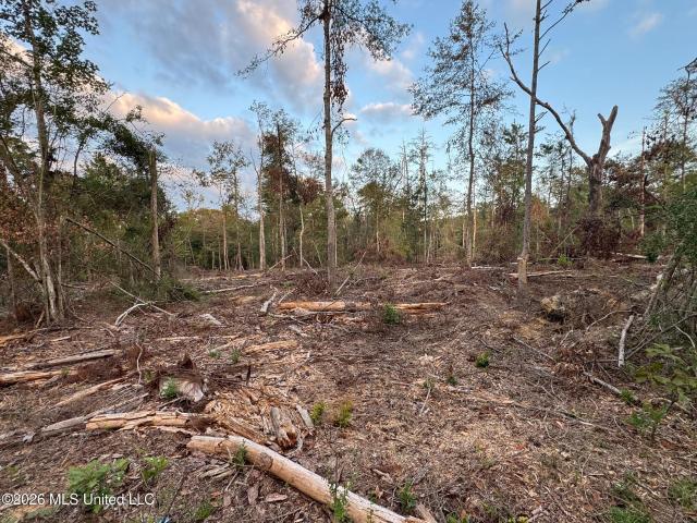 Land for sale in Summit, Pike County