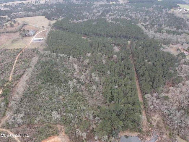 Land for sale in Magnolia, Mississippi
