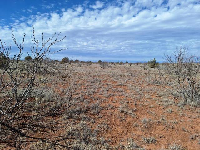Land for sale in New Mexico