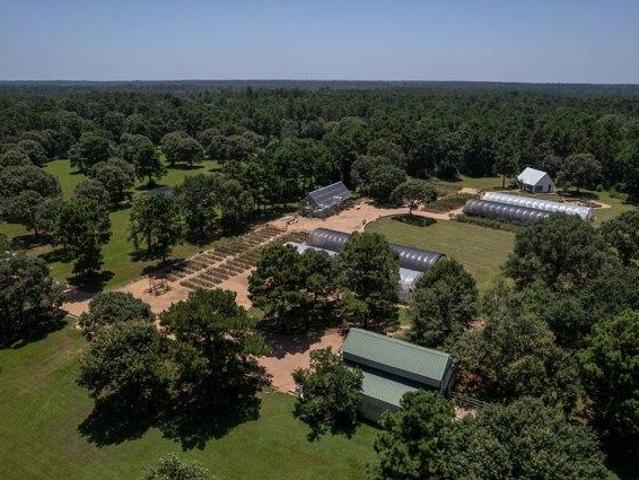 Land for sale in Magnolia, Texas