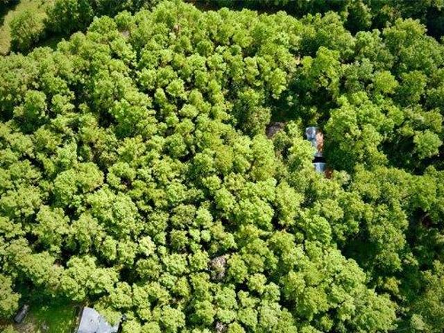 Land for sale in Magnolia, Texas