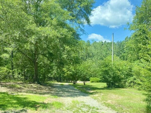 Land for sale in Wagener