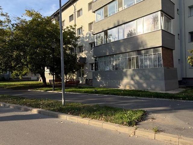 Apartament închirieri în Măgurele