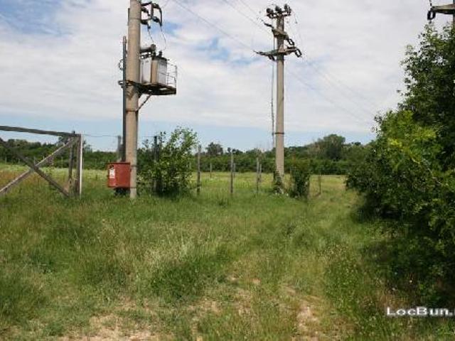 Teren vânzări în Romani