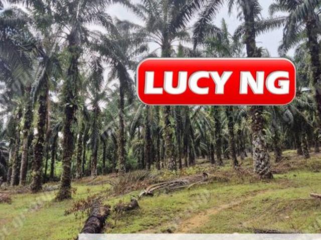 Shop for sale in Mahang, Kedah