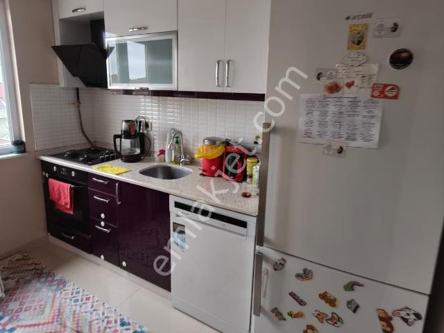 Avcilar, İstanbul içerisinde kiralık mülk
