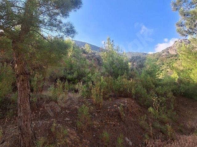 Alanya, Antalya içerisinde satılık Arsa