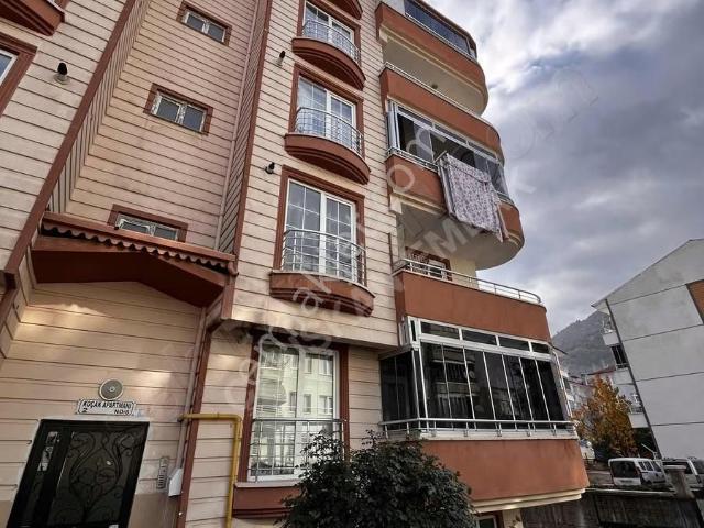 Tokat Merkez, Tokat içerisinde kiralık mülk