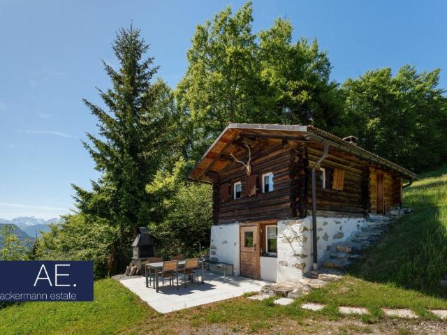 Einfamilienhaus kaufen in Grüsch, Graubünden