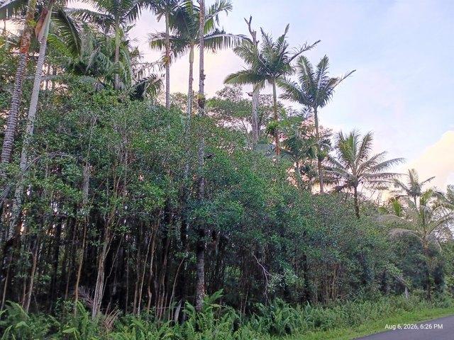 Land for sale in Pahoa, Hawaiʻi County