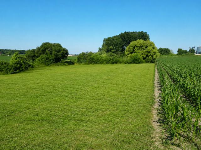 Terrain vente à Chinon, Maillé