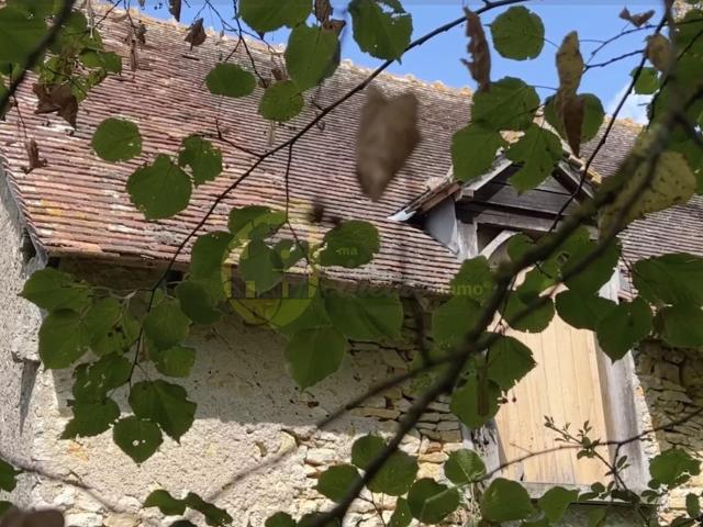 Maison vente à La Châtre, Maillet
