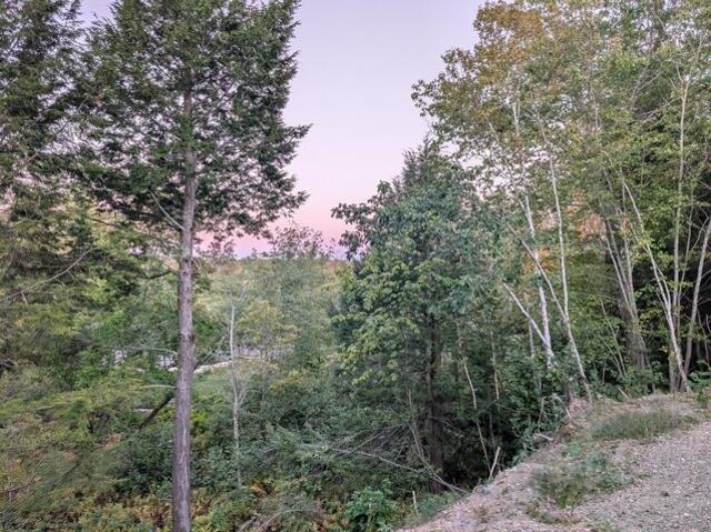 Land for sale in Abbot, Maine