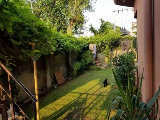Commercial for sale in Regal Chowk, لاہور