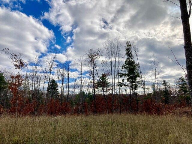 Land for sale in Burlington, Maine
