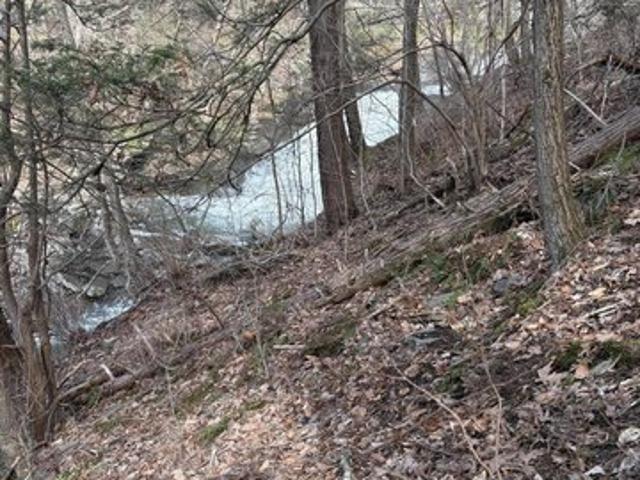 Land for sale in Hunlock Creek, Pennsylvania