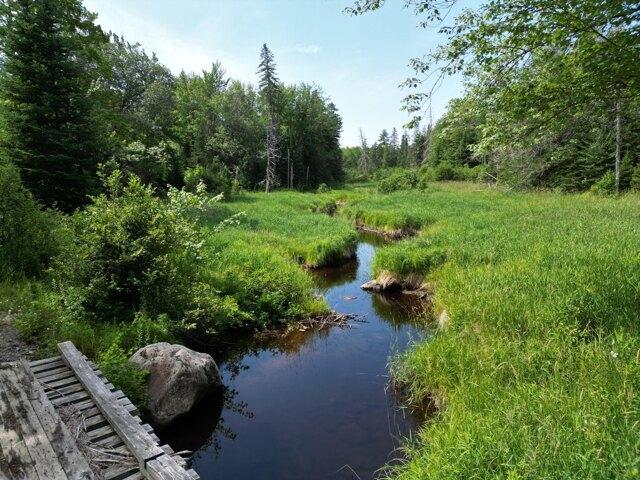 Land for sale in Springfield, Maine
