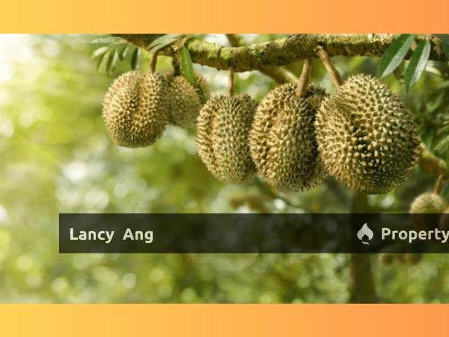Property for sale in Raub, Pahang