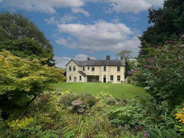 House for rent