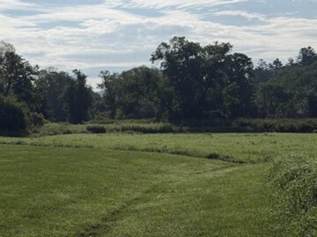 Land for sale in Cavendish, Vermont