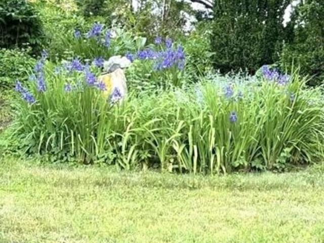 Land for sale in Chatham, Massachusetts