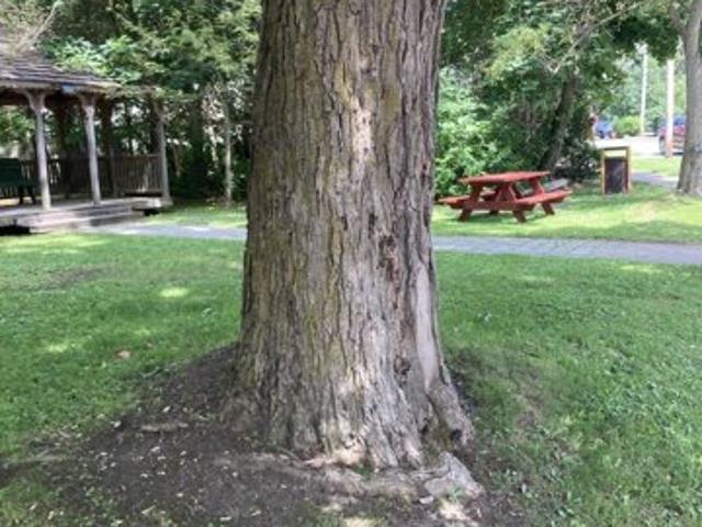 Land for sale in Cherry Valley, New York