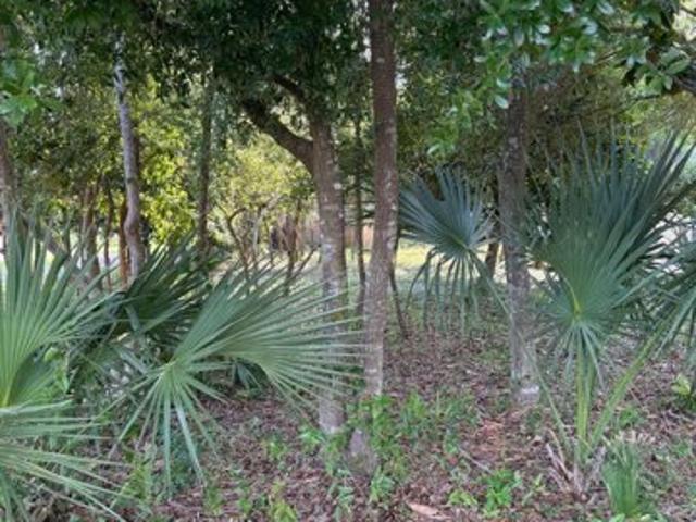 Land for sale in Destin Land for sale in Destin