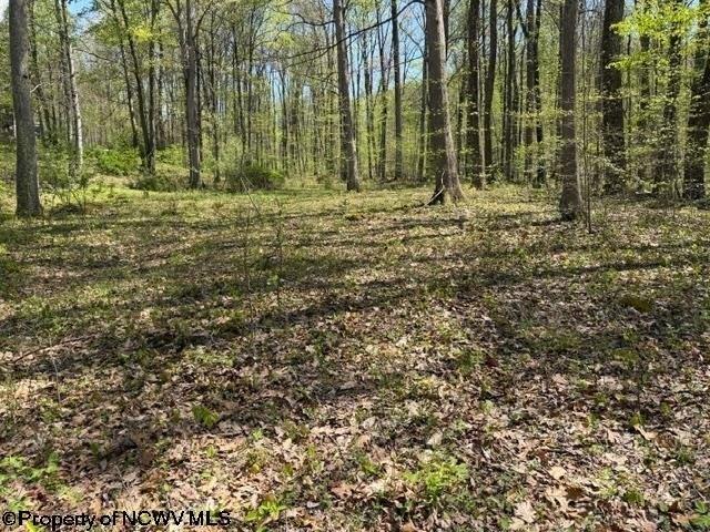 Land for sale in Montrose, West Virginia