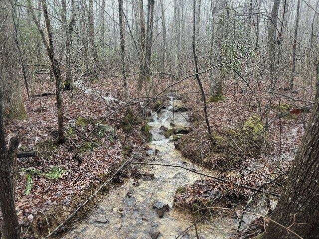 Land for sale in Tennessee