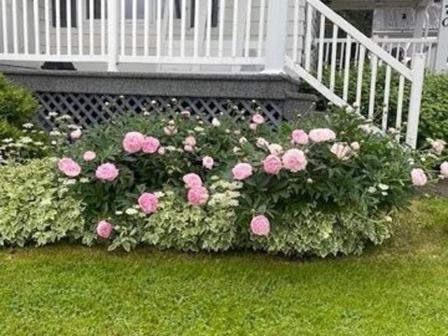 House for sale in Saint Francis, Maine