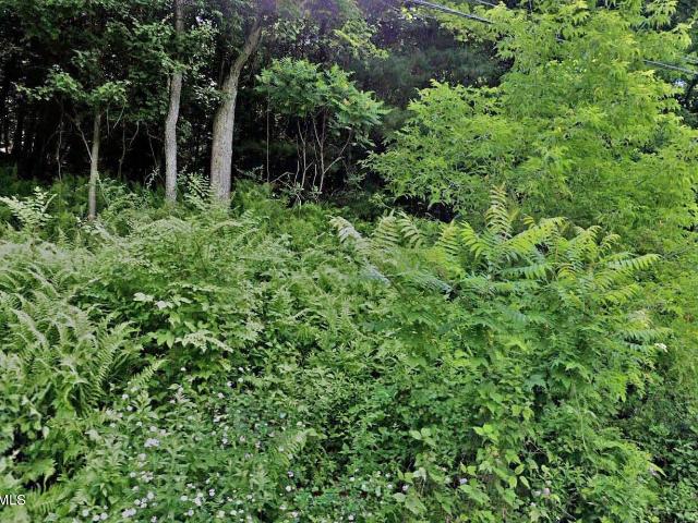 Land for sale in Druid Hills, Dallas