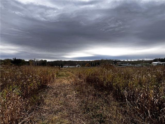 Land for sale in Honeoye, New York