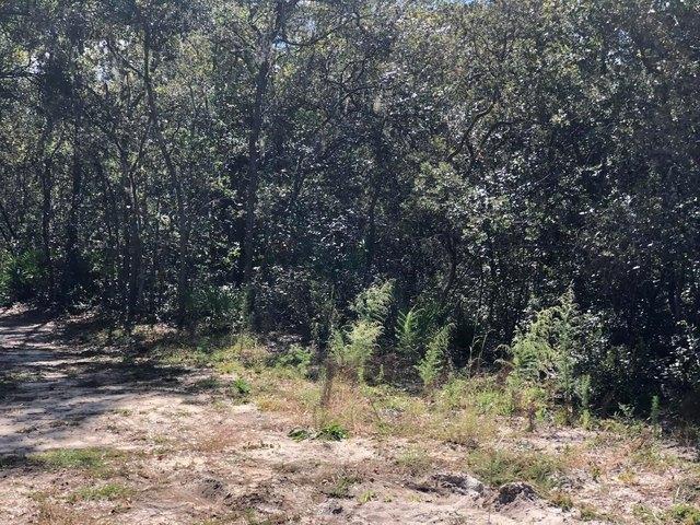 Land for sale in Interlachen, Putnam County
