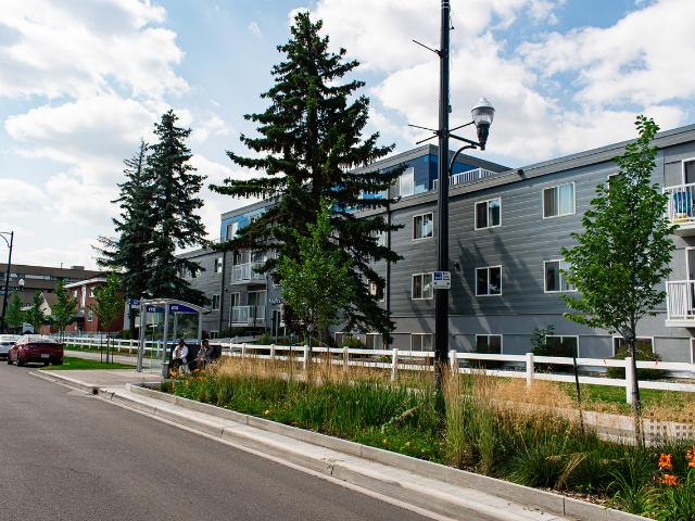 Apartment for rent in Wedgewood, Alberta